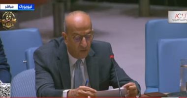 مندوب مصر: على مجلس الأمن تحمل مسؤولياته وإدراك أنه أحد أسباب عجز المنظمة