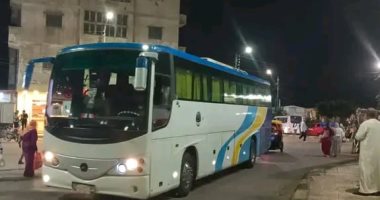 وفود عربية فى الاحتفال بمولد الدسوقي وإقبال على شراء الحلويات والفسيخ.. فيديو