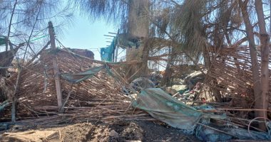 رئيس مدينة المحلة يوضح حقيقة العثور على ثعبان كوبرا ضخم في قرية السجاعية