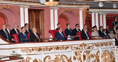 نائب بالشيوخ: احتفالية وطن السلام درس وطني للأجيال الجديدة