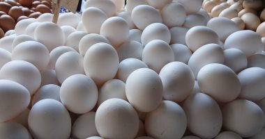 انخفاض سعر كرتونة البيض بالإسكندرية اليوم السبت 25 أكتوبر 2025