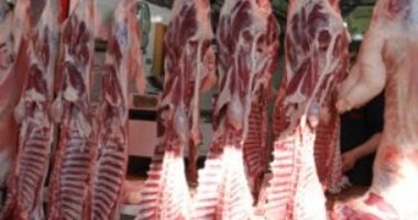 اللحمة البلدى بكام؟.. أسعار اللحوم بكفر الشيخ السبت 25 أكتوبر 2025