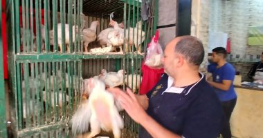 نيوز برو : 
                                            الفراخ بكام النهاردة؟.. أسعار الدواجن فى الإسكندرية اليوم
                                         نيوز برو : 
                                            الفراخ بكام النهاردة؟.. أسعار الدواجن فى الإسكندرية اليوم