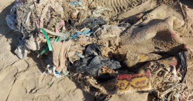 استخراج سجادة مدفونة فى الرمال تحوى مخلفات ضارة للبيئة من شاطئ الأنفوشى