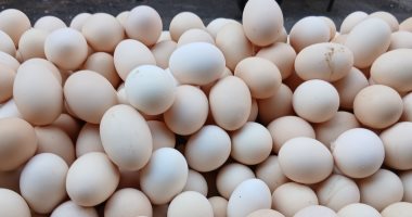 سعر طبق البيض بالقليوبية الأربعاء 3-12-2025.. الأبيض بـ 118 جنيها