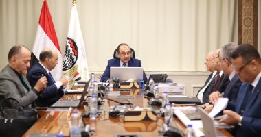 وزير قطاع الأعمال يتابع جهود التوافق مع آلية تعديل حدود الكربون لتعزيز الصادرات
