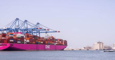 ميناء دمياط تستقبل السفينة وادى اليرموك محملة بـ 66000 ألف طن قمح 