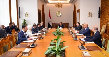 وزير الخارجية يتابع استعدادات الوزارة لافتتاح المتحف المصرى الكبير