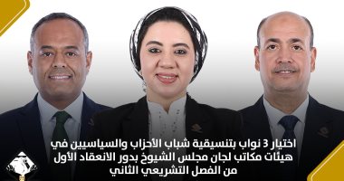 اختيار 3 نواب بتنسيقية شباب الأحزاب فى هيئات مكاتب لجان مجلس الشيوخ