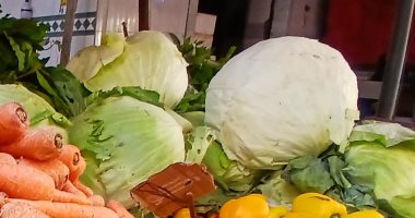 الكرنب والقرنبيط بـ 20 جنيه.. أسعار الخضراوات في الإسكندرية اليوم