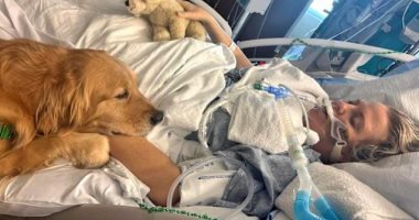 كلب يوقظ امرأة من غيبوبة فى مستشفى يستخدم الحيوانات للعلاج بولاية فلوريدا