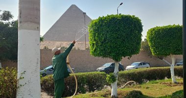 محافظ الجيزة: صيانة شاملة للمسطحات الخضراء بمحيط المتحف المصرى الكبير