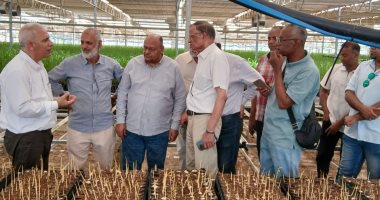 وكيل "البحوث الزراعية" يتفقد محطتي شتلات قصب السكر بأسوان 