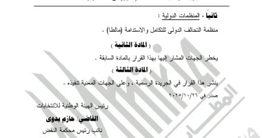 الهيئة الوطنية تقبل 3 منظمات مصرية وواحدة دولية لمتابعة انتخابات النواب