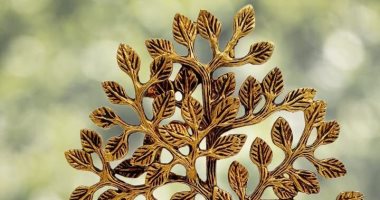 شجرة الأمنيات الهندية.. رمز أسطورى يتحول إلى أيقونة ديكور للوفرة والرخاء