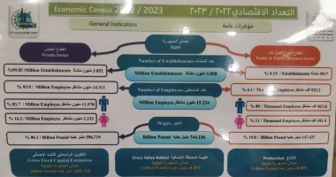 الإحصاء : 15 مليون عدد المشتغلين في مصر و744 مليار جنيه قيمة الأجور 