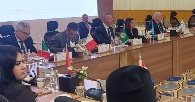 الجامعة العربية تشارك فى اجتماع تنسيقى رفيع المستوى للتحالف العالمى لتنفيذ حل الدولتين