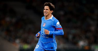 أتلتيكو مدريد يتفوق على بيتيس 2-0 في شوط مثير بالدوري الإسباني.. فيديو