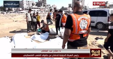 رئيس الهيئة الدولية لدعم فلسطين: الاحتلال اخترق وقف إطلاق النار أكثر من 140 مرة