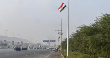 أعلام الدول تزين الدائرى قبل افتتاح المتحف المصرى الكبير.. فيديو