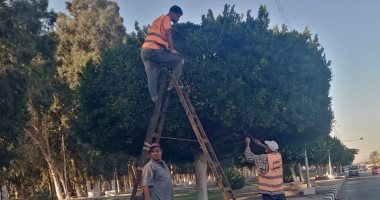 جهاز التطوير والتجميل يواصل رفع كفاءة مداخل ومخارج الإسماعيلية