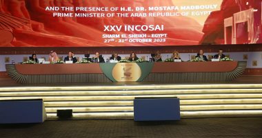 رئيس الإنتوساى يعرض رؤية مصر لقيادة مرحلة جديدة من العمل الرقابى الدولى