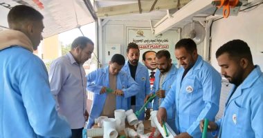 مديرية العمل بالوادى الجديد: تنفيذ سلسلة دورات تدريبية متخصصة فى الحرف المهنية المتنوعة