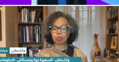 دبلوماسية أمريكية سابقة: اتفاق وقف إطلاق النار لم ينهار 