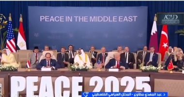 محلل سياسى فلسطينى: قمة شرم الشيخ تتويج لجهود مصر المستمرة منذ عامين