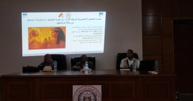 ندوة بمجمع إعلام أبو سمبل عن افتتاح المتحف المصرى الكبير