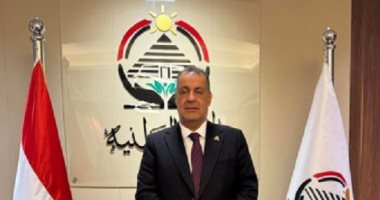 النائب فتحى دسوقى: وحدة الفلسطينيين مفتاح المستقبل