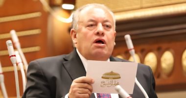 برلمانى: الحديث عن المال السياسى أكذوبة والانتخابات تسير بشفافية كاملة