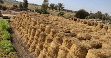 تجميع 457 ألفا و36 طن قش أرز بالشرقية منذ بداية موسم الحصاد
