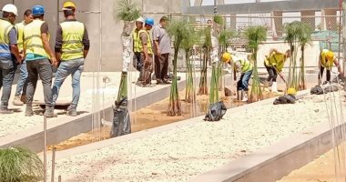 قيمة تاريخية كبيرة.. "بردى الشرقية" يزهر فى قلب المتحف المصرى الكبير.. صور