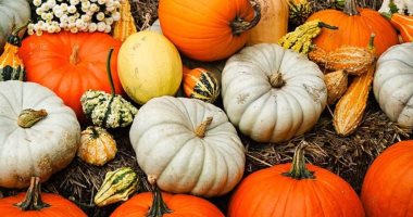 اليقطين مفيد لصحتك 