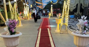 شوارع الدقهلية تتزين بالأعلام وشاشات لعرض افتتاح المتحف المصرى الكبير.. فيديو