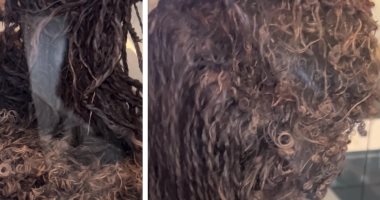 المتحف المصري الكبير يحتفل بروائع الفن المصري أول شعر مستعار في العالم