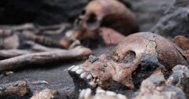 هياكل عظمية