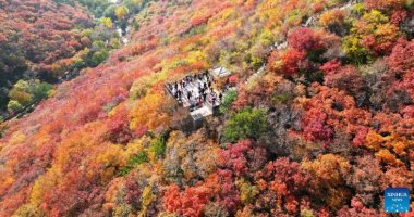 فصل الخريف يزين حدائق الصين