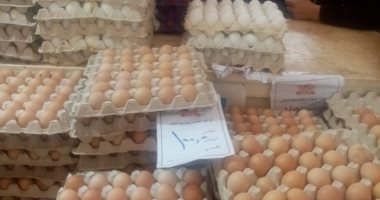 طبق البيض بـ100 جنيه.. أسعار مخفضة بمعرض السلع الغذائية فى المنصورة