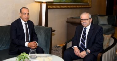 وزير الخارجية يجدد التأكيد على موقف مصر الثابت فى دعم سيادة لبنان