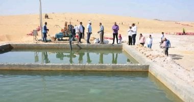 الوادى الجديد تحيل رمال الكثبان المتحركة إلى مروج خضراء ومزارع منتجة