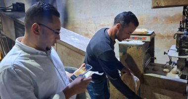 ضبط 9 مخالفات تموينية وصحية خلال حملة مكبرة فى قرى المحلة الكبرى