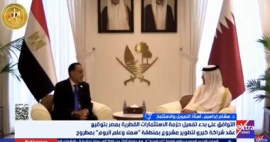 خبير: نشهد تفعيل الفرص الاستثمارية القطرية فى مصر