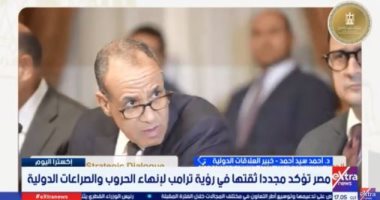 خبير: التعاون المصرى الأمريكى نقطة مهمة لتحقيق الاستقرار