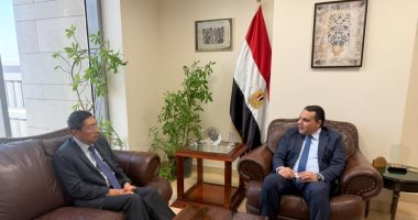 مصر وسنغافورة تبحثان تعزيز التعاون الاقتصادى والاستثمارى