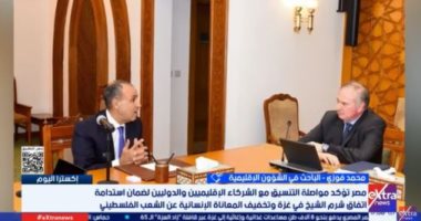 باحث: التنسيق المصري الأوروبي ركيزة للأمن والاستقرار بالمنطقة