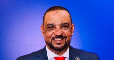 النائب أحمد حافظ: الرئيس السيسي أعاد لمصر ريادتها الدولية