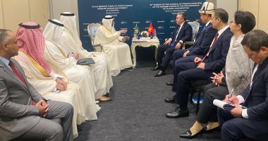 التعاون الإسلامى يجمع مصر وقيرغستان.. تفاهمات ومواقف مشتركة