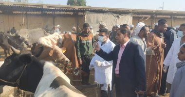 بيطرى الأقصر: المحافظة خالية من الحمى القلاعية ولم نسجل أى حالة مرضية